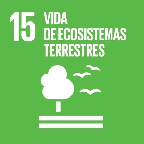 15. Vida de ecosistemas terrestres